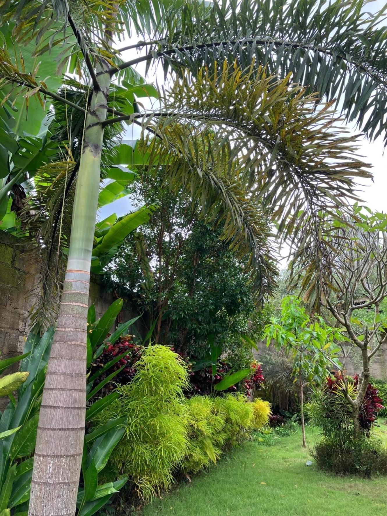 Villa Kelana ซิเดอมัน ภายนอก รูปภาพ