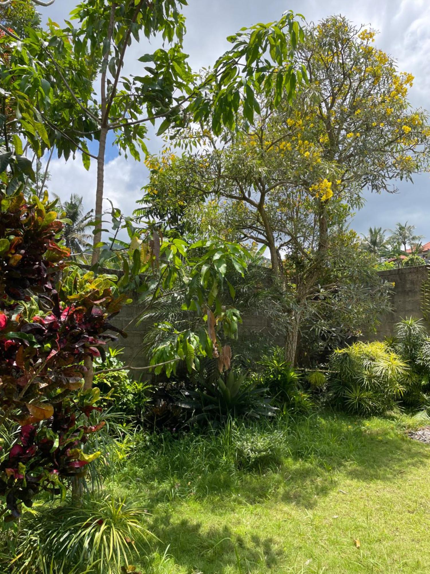 Villa Kelana ซิเดอมัน ภายนอก รูปภาพ